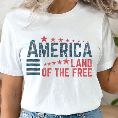 Land Of The Free DTF Print