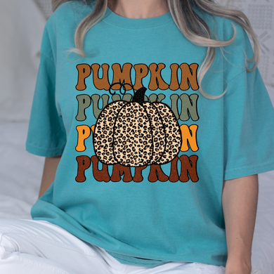 Pumpkin Distressed DTF Print