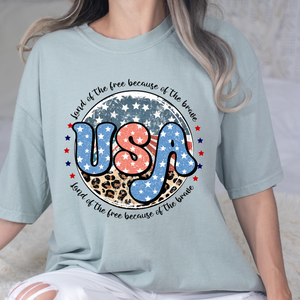 USA Because Of The Brave DTF Print